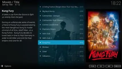 Kodi Movies library interface